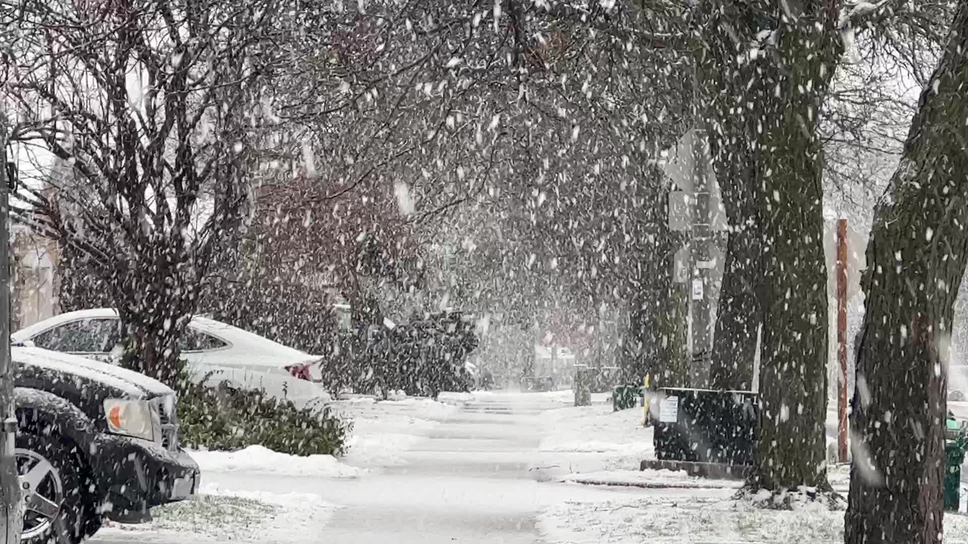 Toronto gets hit by messy winter snowstorm
