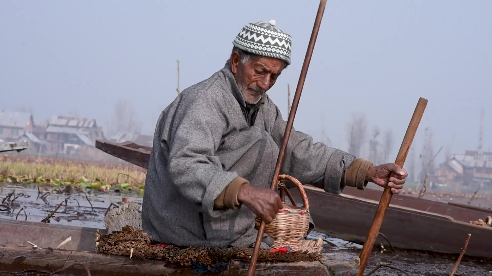 Lotus stem harvesting in Srinagar, Indian administered Kashmir