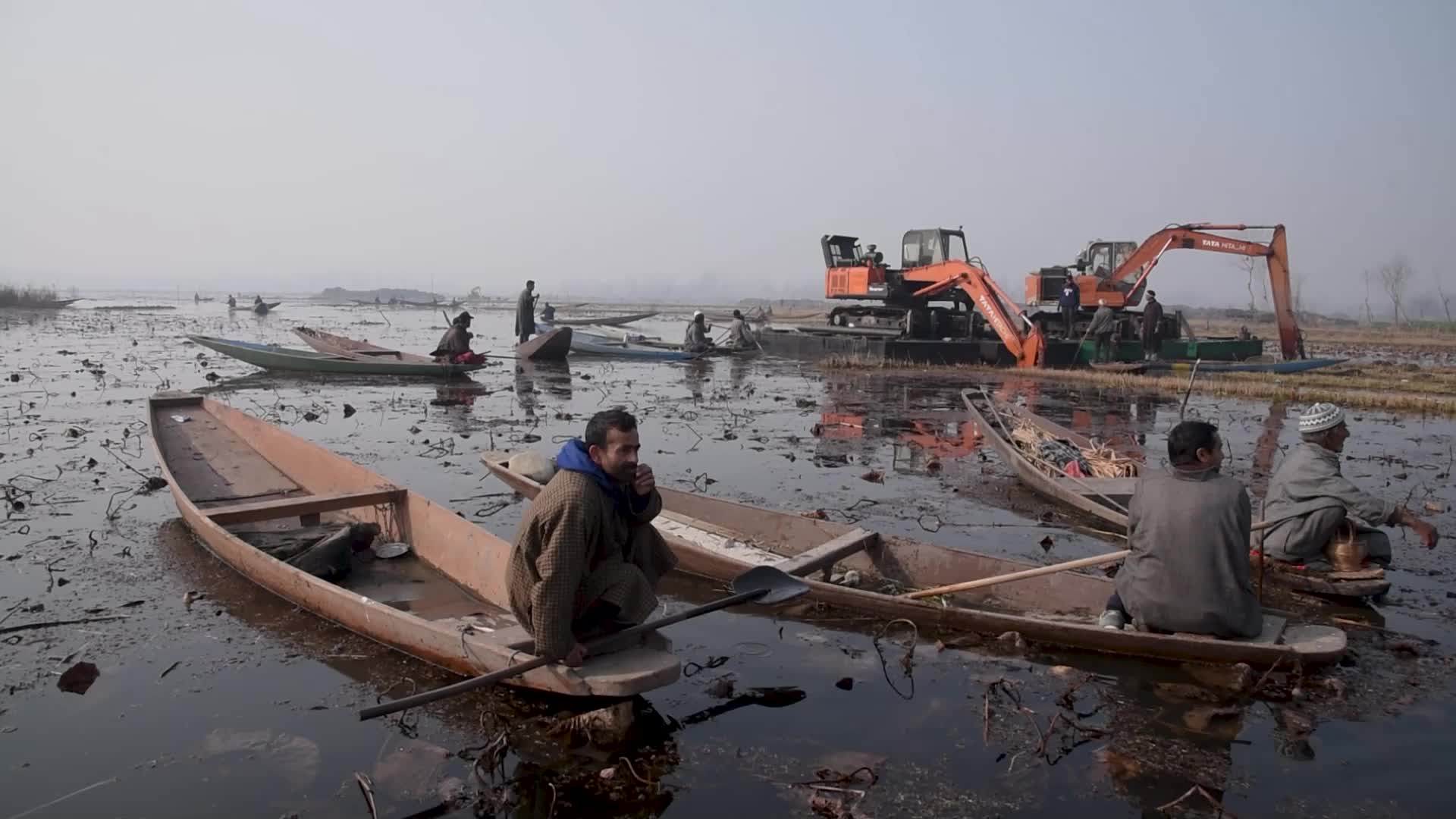 Lotus stem harvesting in Srinagar, Indian administered Kashmir