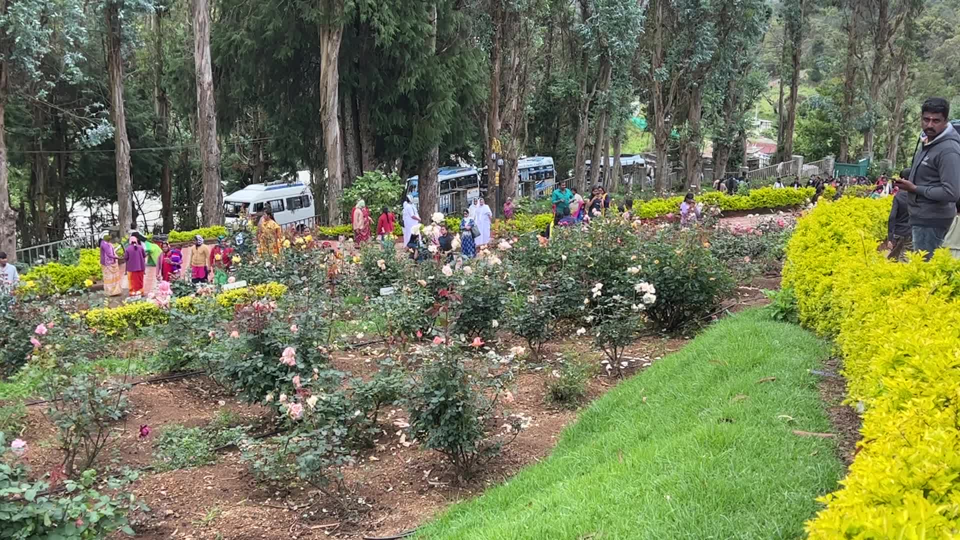 Rose Garden in Kodaikanal