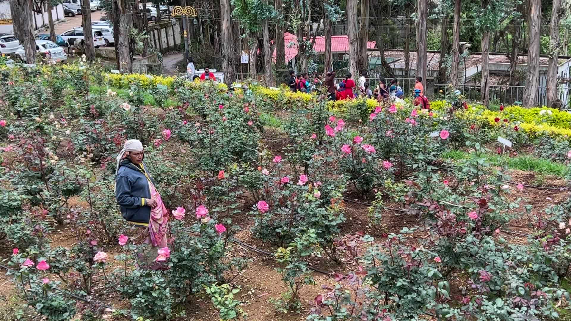 Rose Garden in Kodaikanal