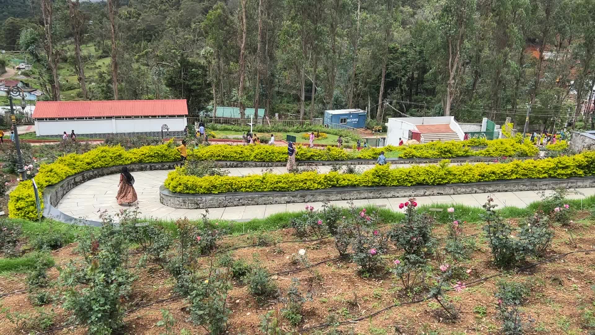 Rose Garden in Kodaikanal