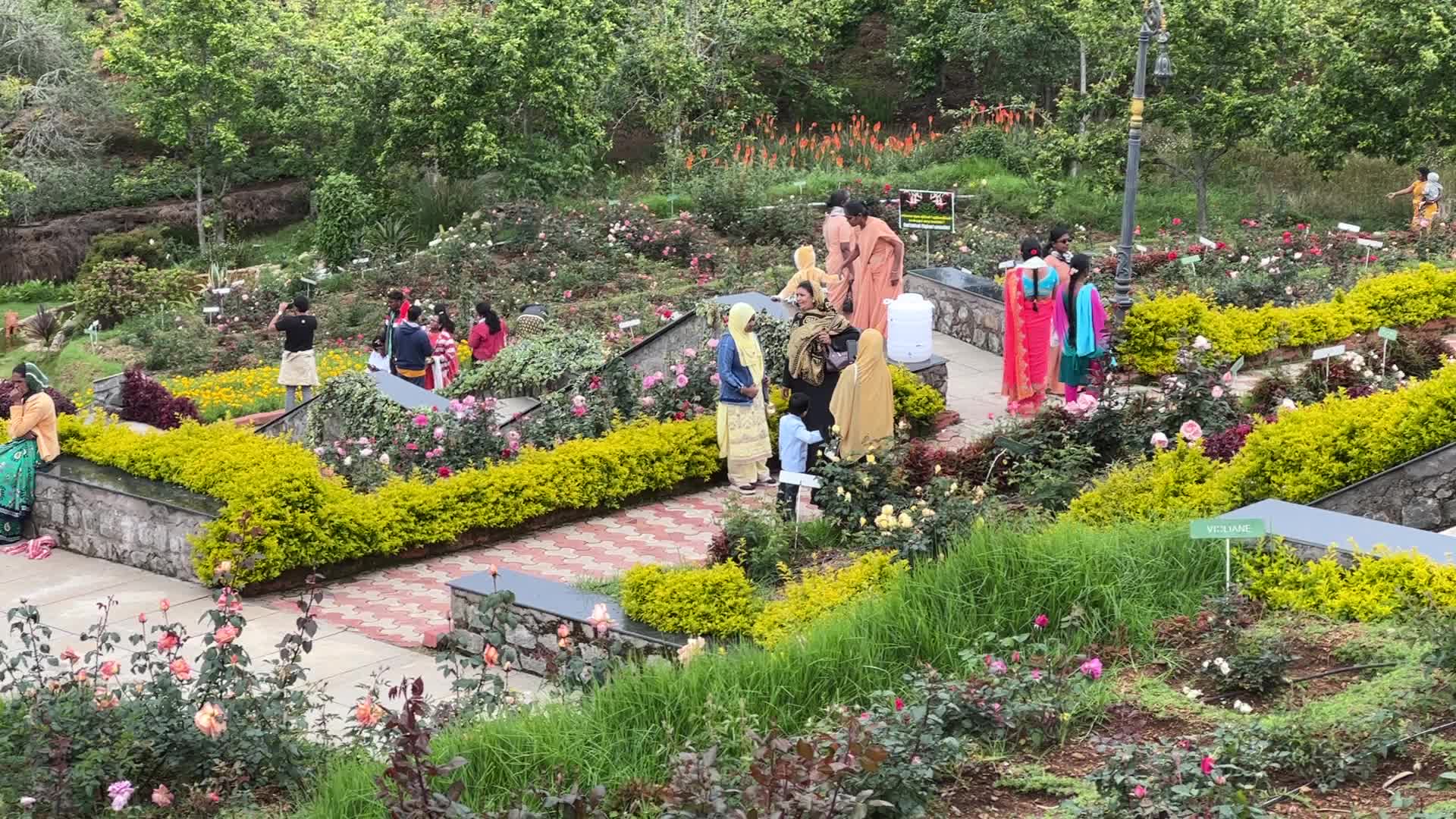 Rose Garden in Kodaikanal