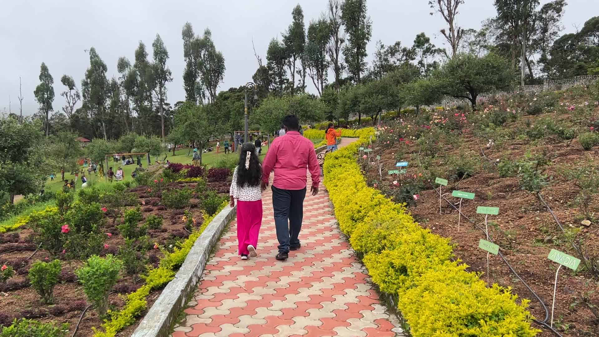 Rose Garden in Kodaikanal