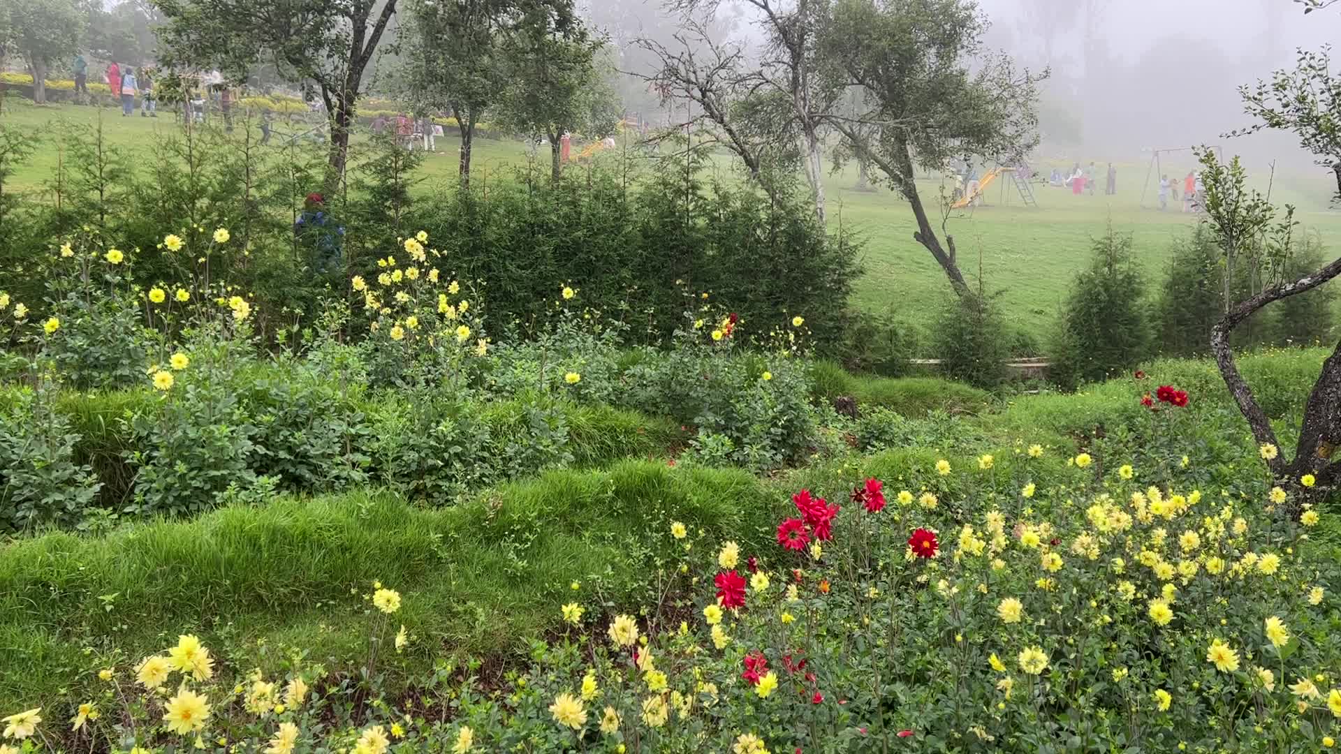 Rose Garden in Kodaikanal