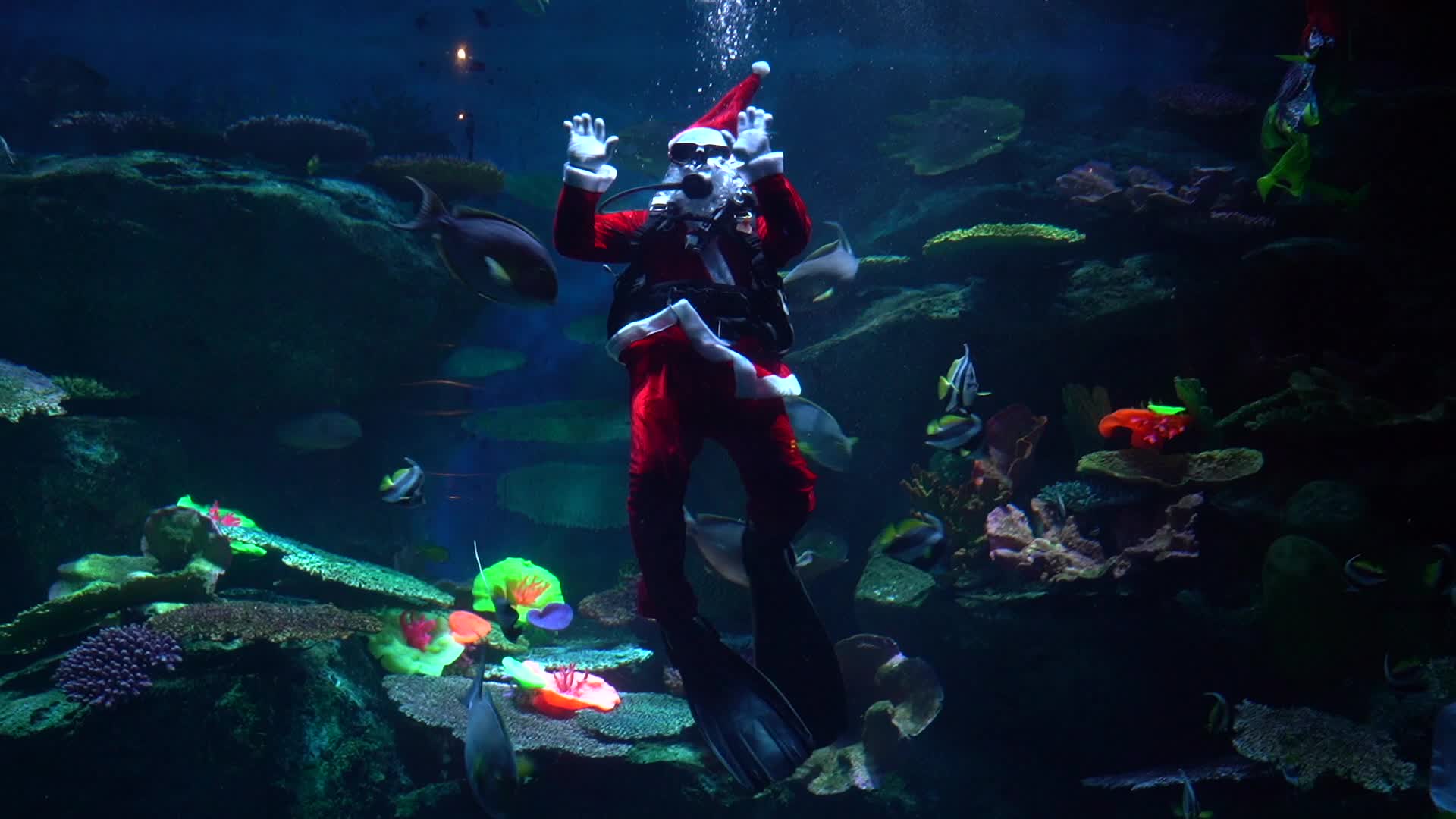 Divers dressed as Santa Claus and a mermaid Celebrate Christmas, in Bangkok.