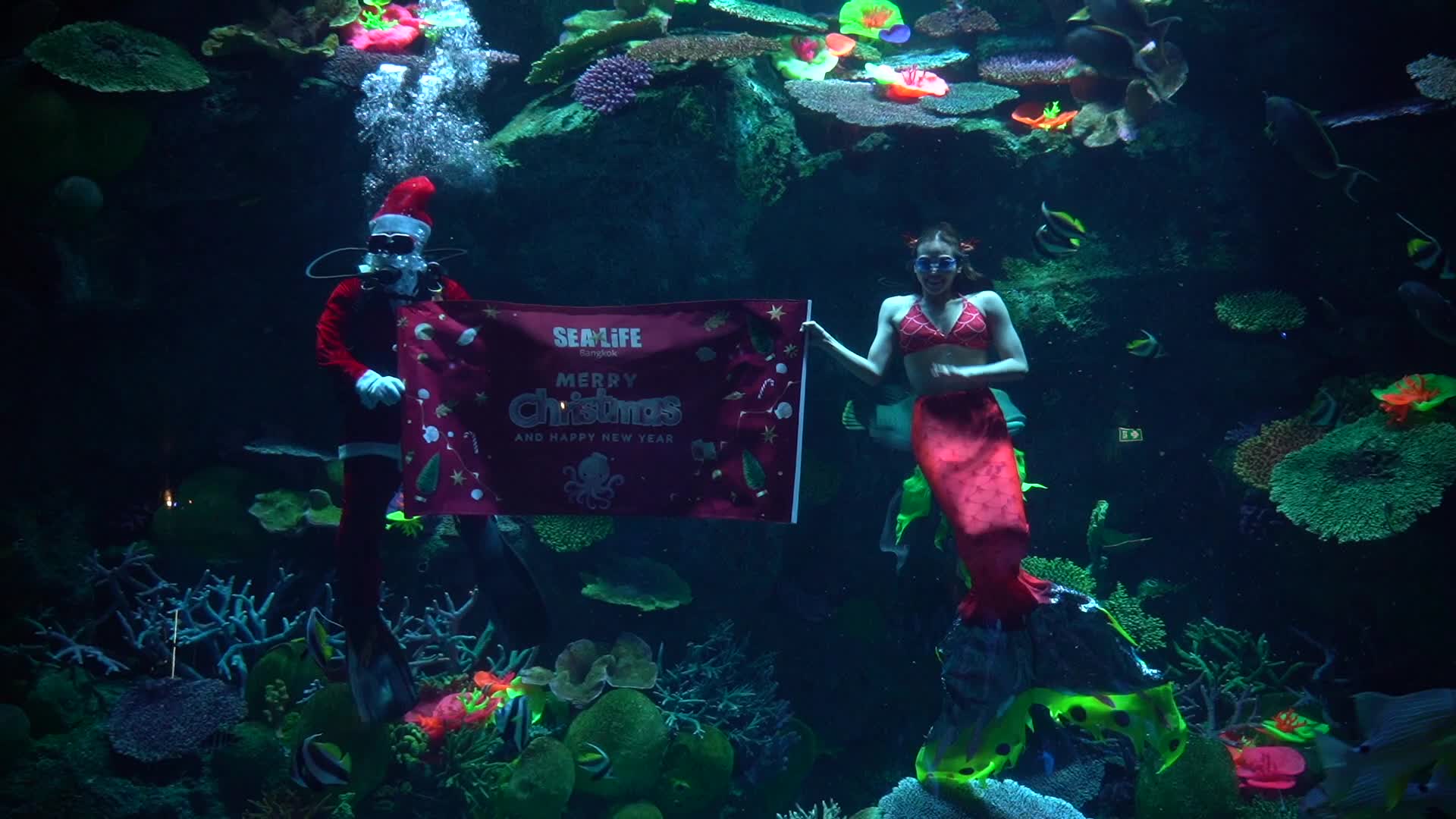 Divers dressed as Santa Claus and a mermaid Celebrate Christmas, in Bangkok.