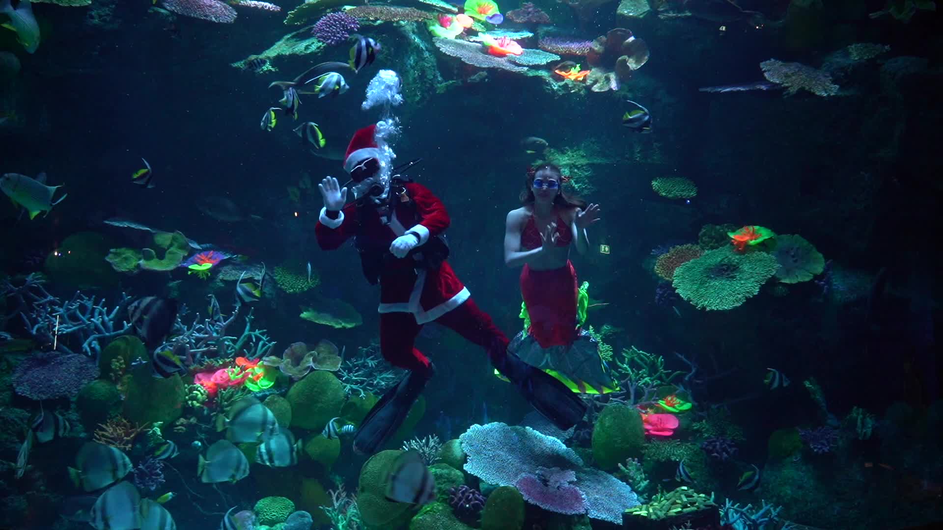 Divers dressed as Santa Claus and a mermaid Celebrate Christmas, in Bangkok.