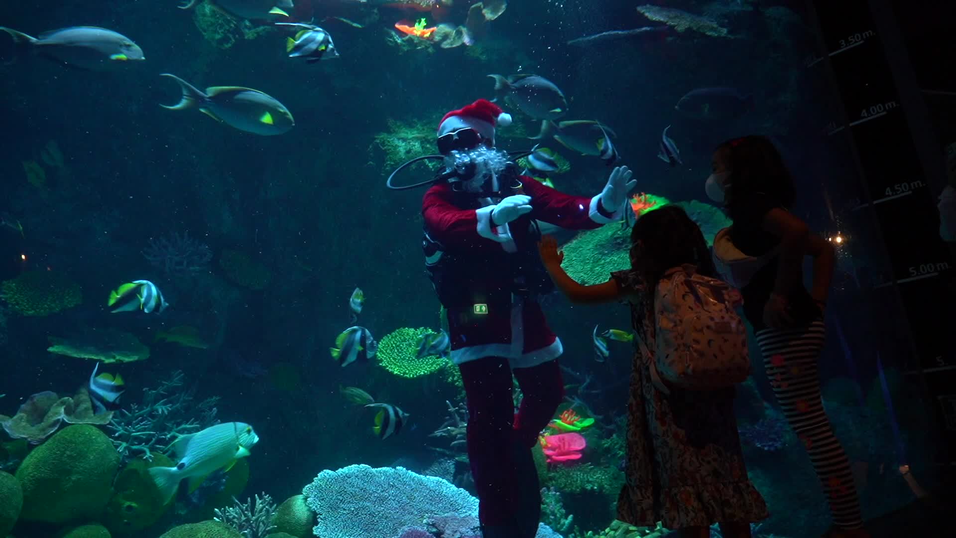 Divers dressed as Santa Claus and a mermaid Celebrate Christmas, in Bangkok.