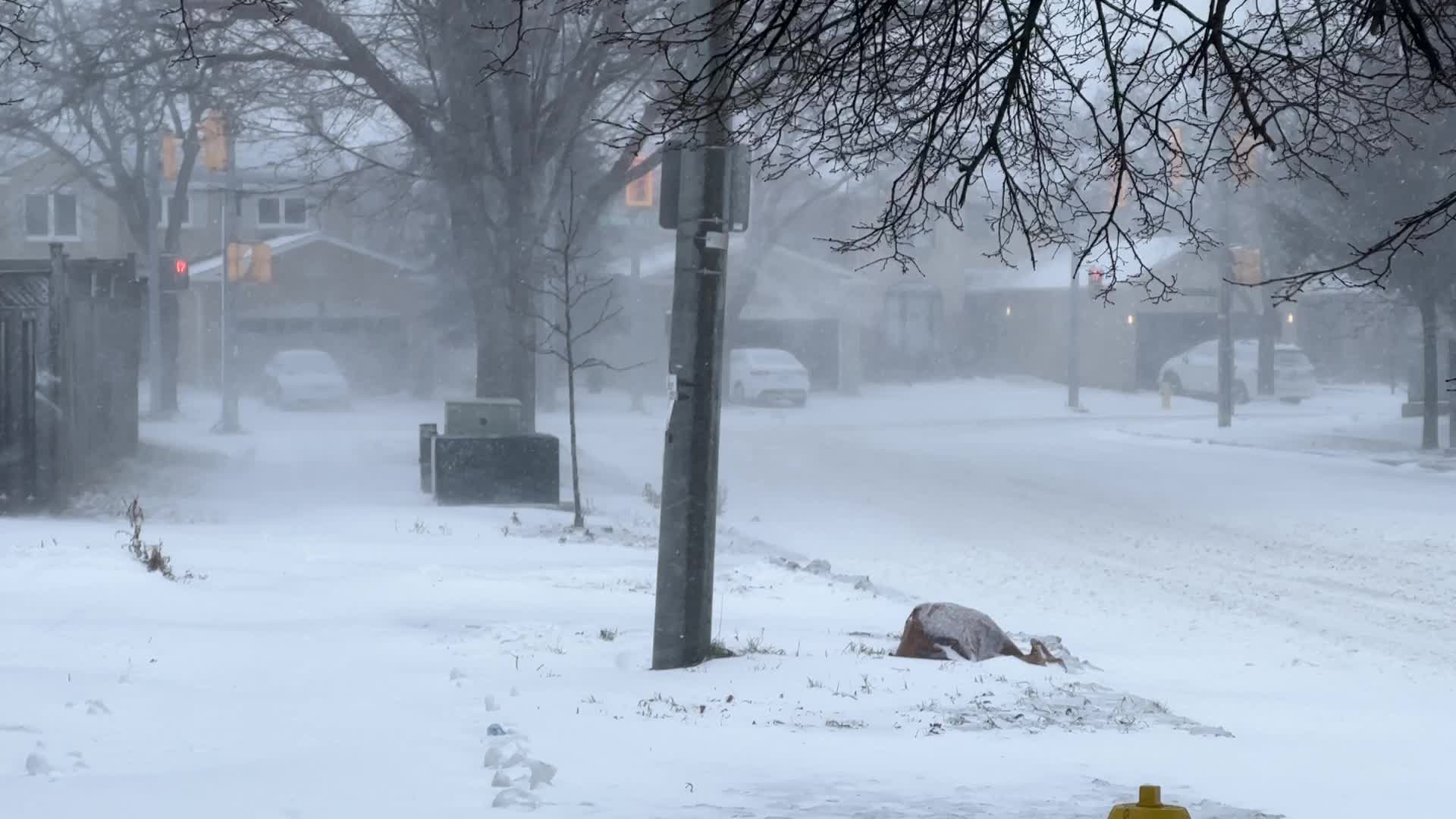 Treacherous winter snowstorm hits Toronto