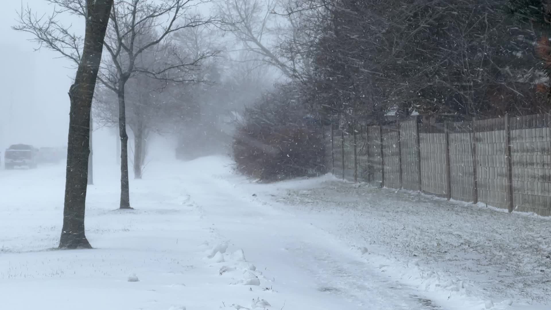 Treacherous winter snowstorm hits Toronto