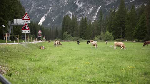 Time-Lapse of Dolomites