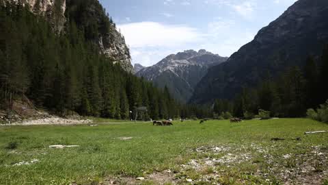 Time-Lapse of Dolomites