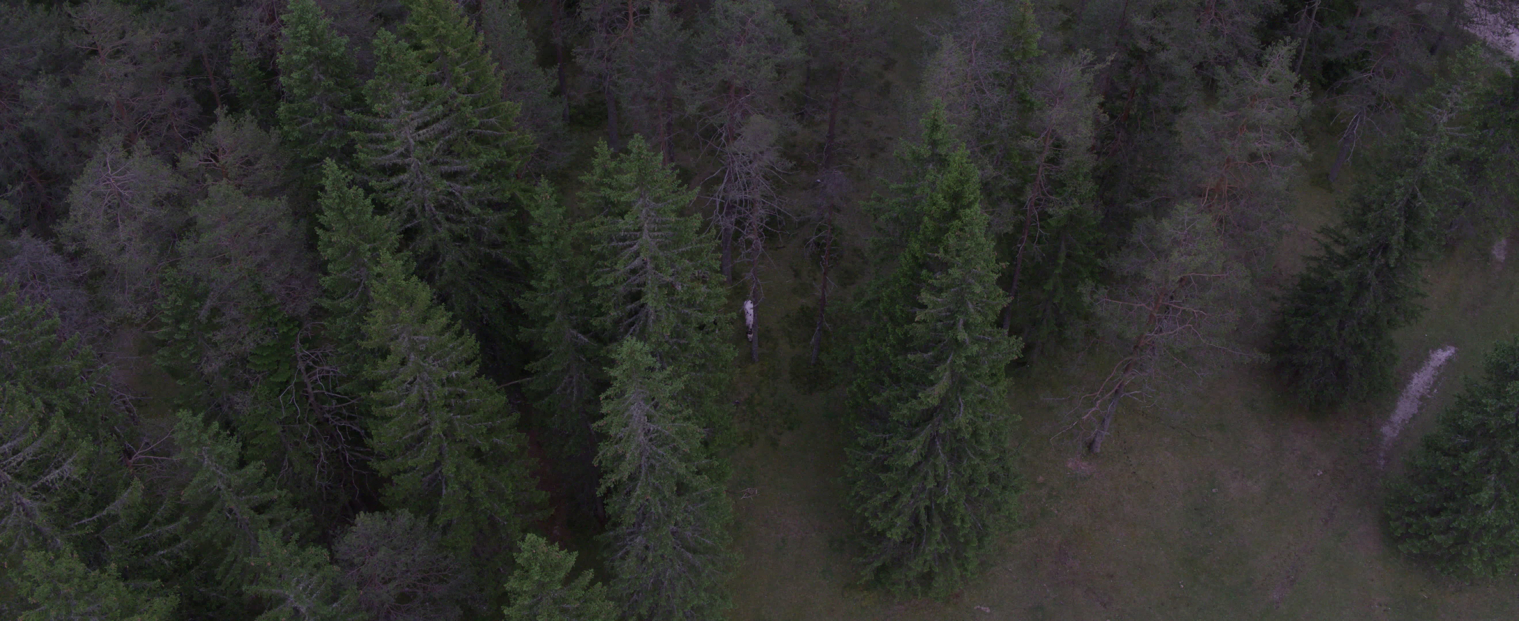 Drone View of Dolomites (Alps)