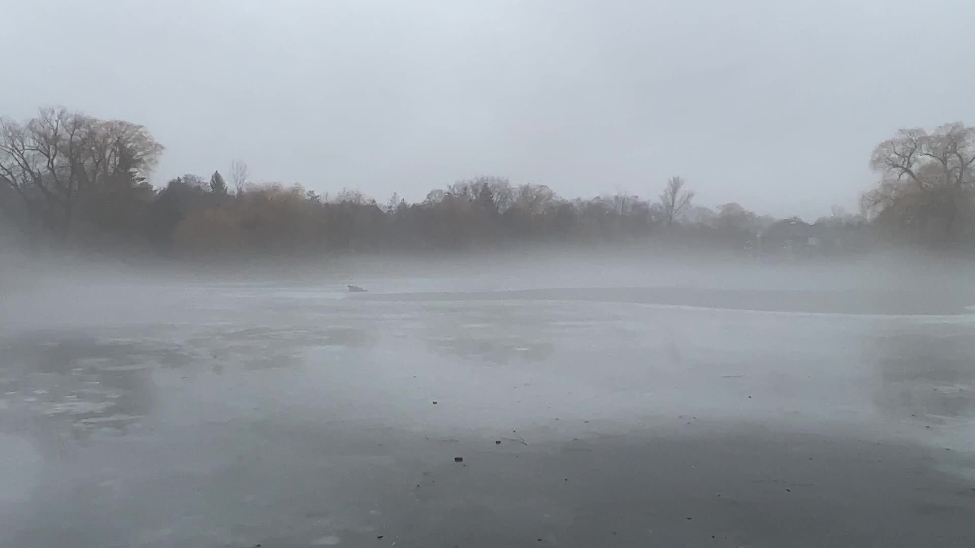 Rainy day in Toronto