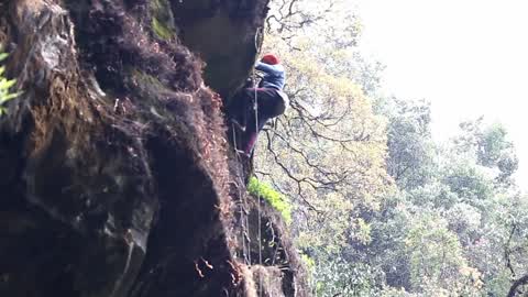 Honey Hunting in Nepal