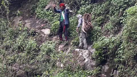 Honey Hunting in Nepal