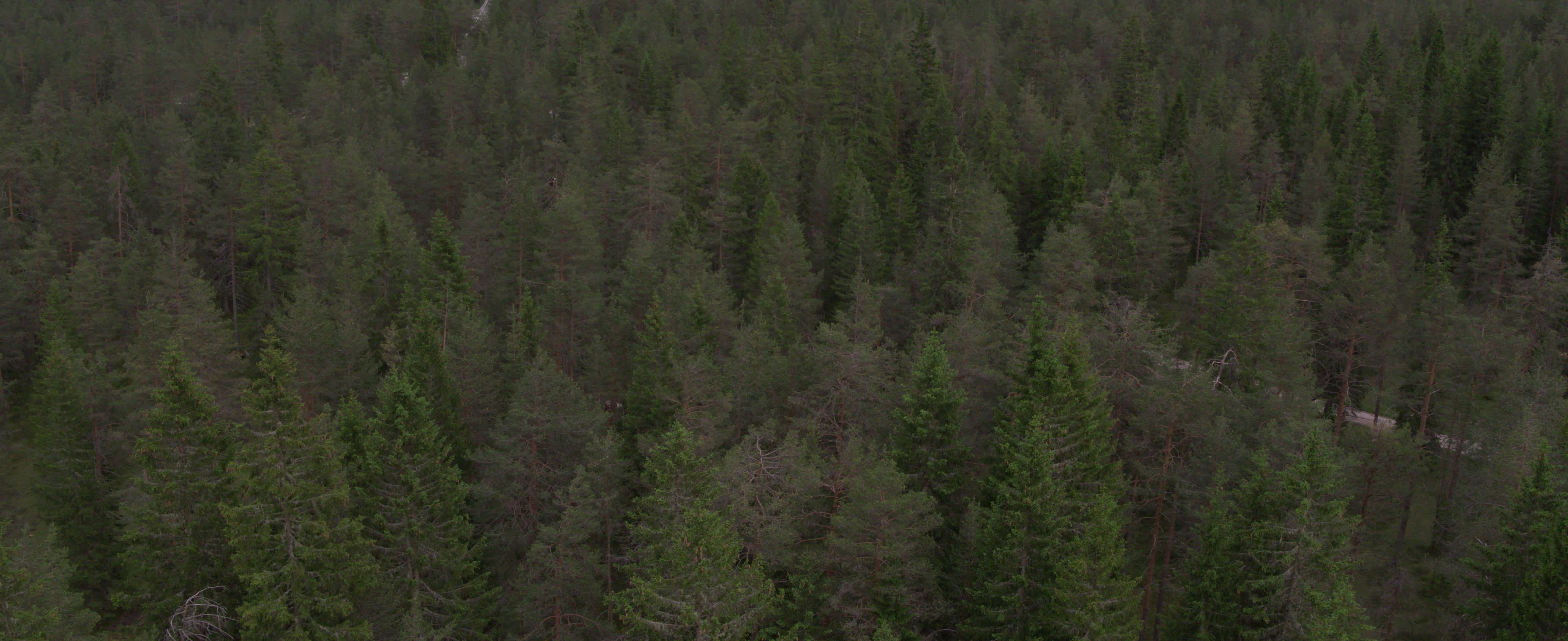 Drone View of Dolomites (Alps)