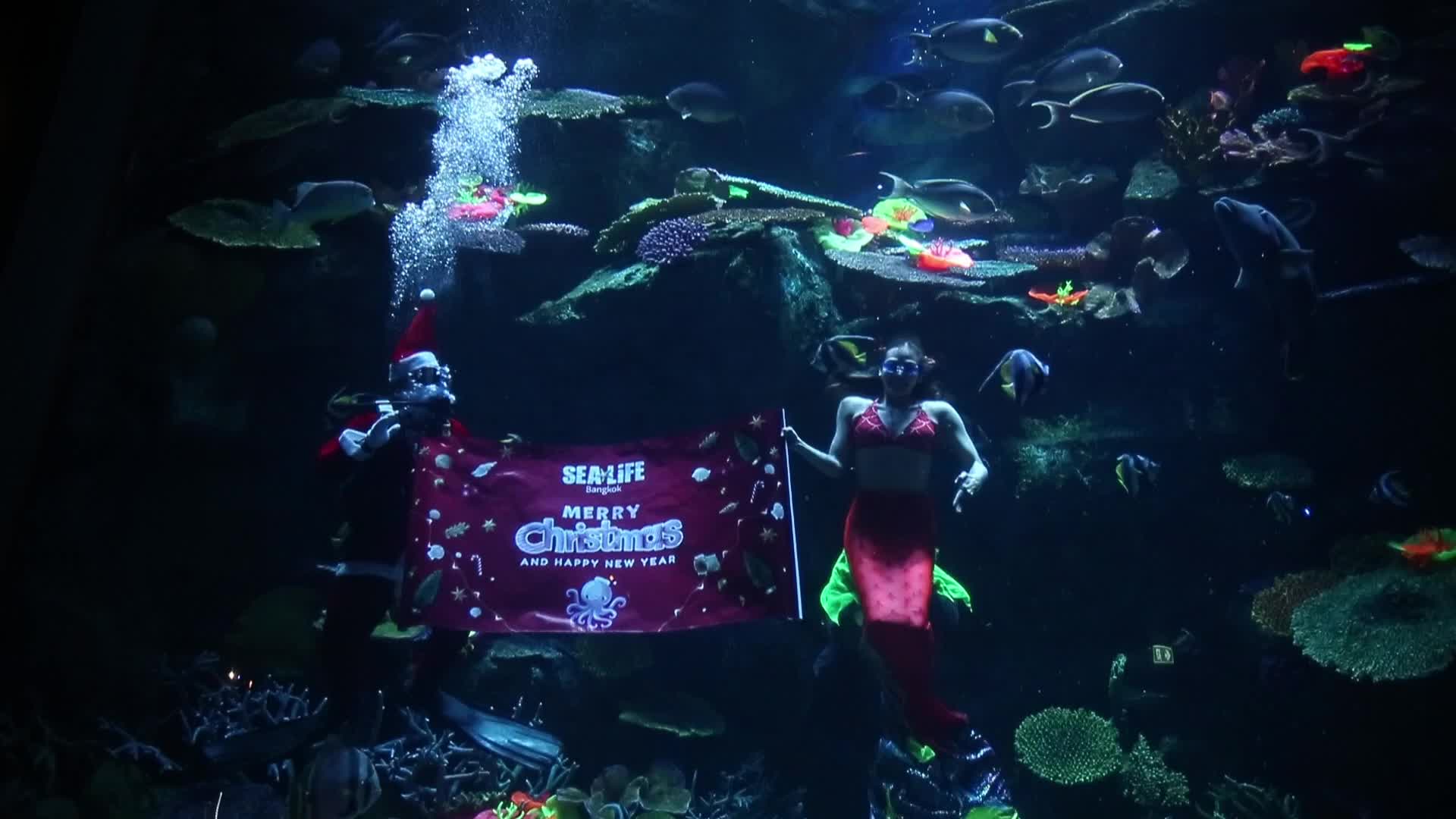 Santa Claus At Sea Life Aquarium