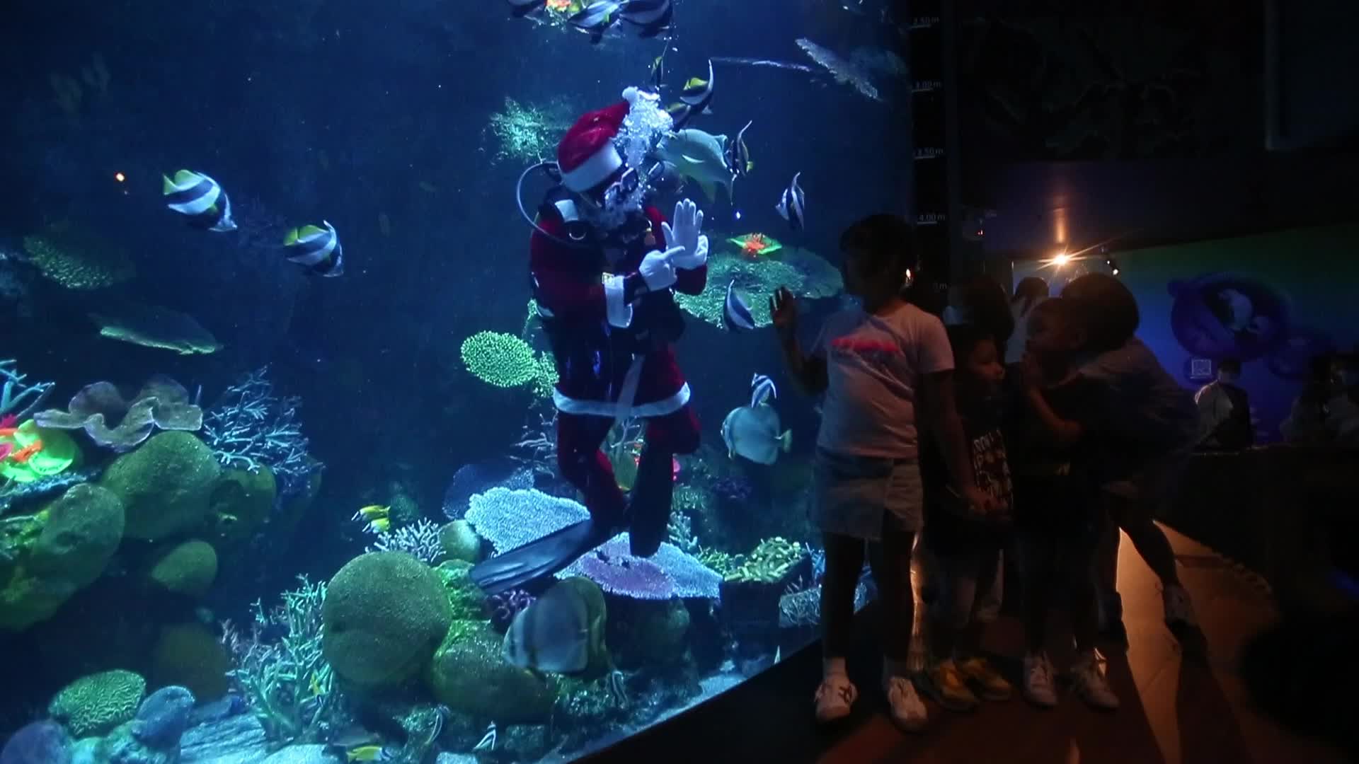 Santa Claus At Sea Life Aquarium