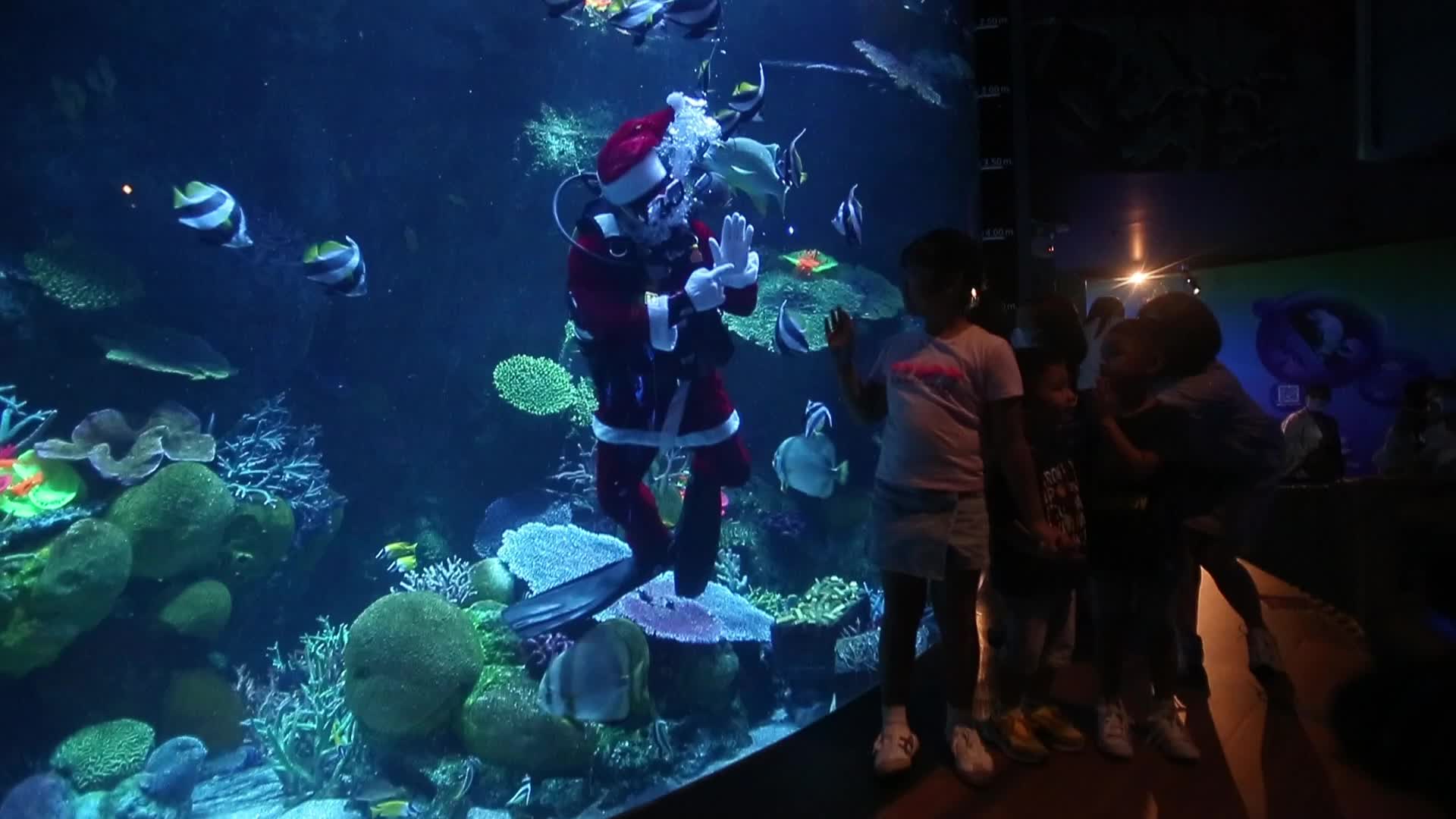 Santa Claus At Sea Life Aquarium
