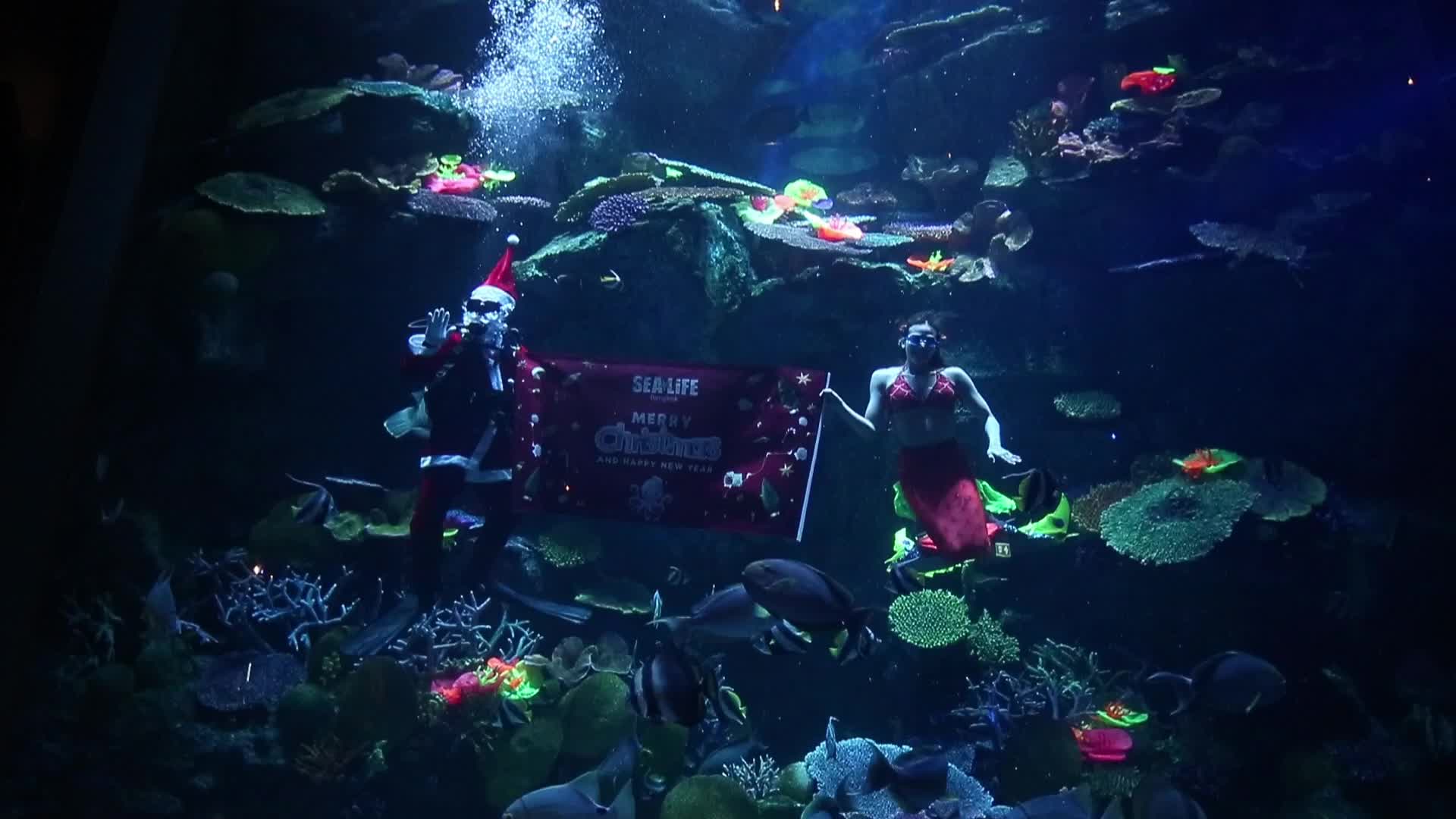 Santa Claus At Sea Life Aquarium