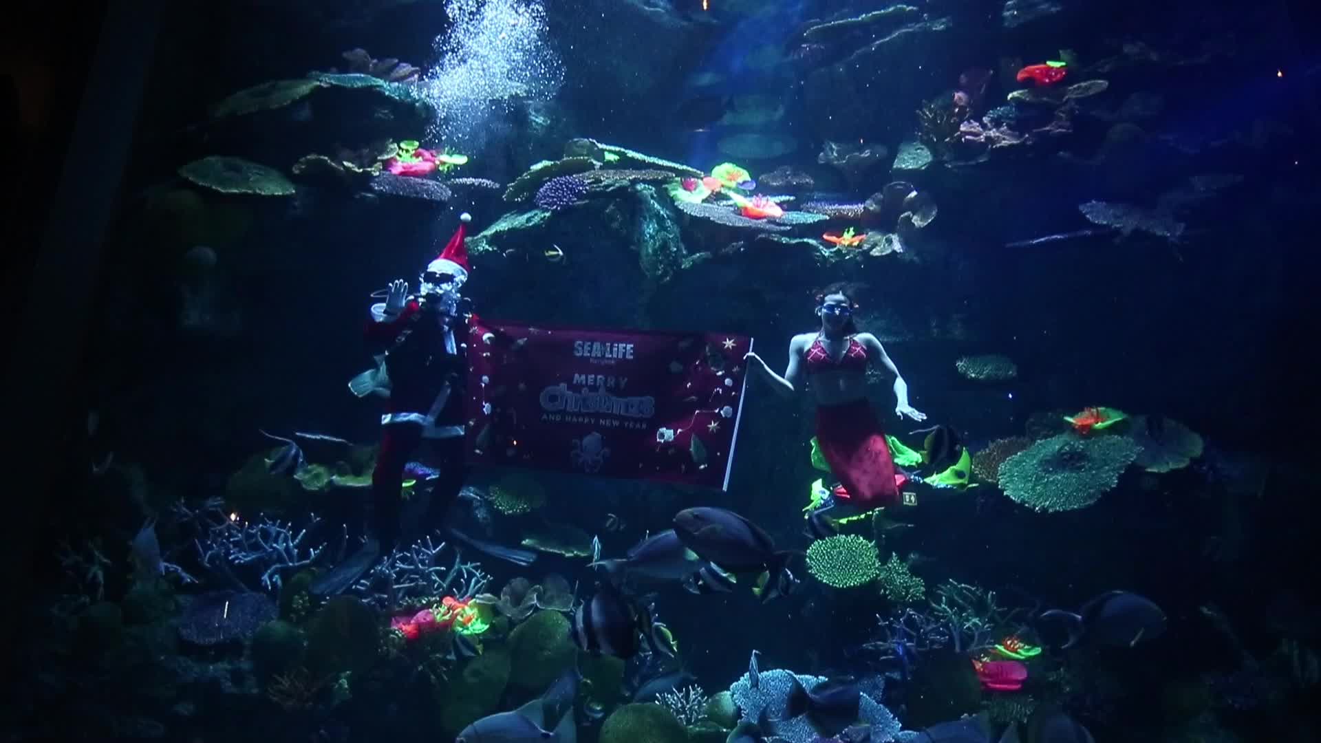 Santa Claus At Sea Life Aquarium