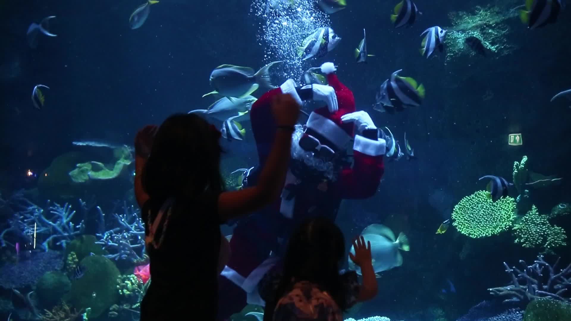 Santa Claus At Sea Life Aquarium