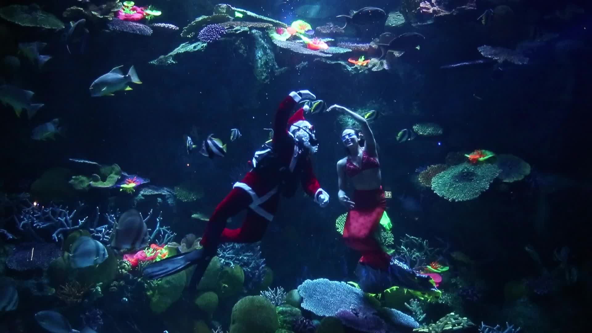 Santa Claus At Sea Life Aquarium