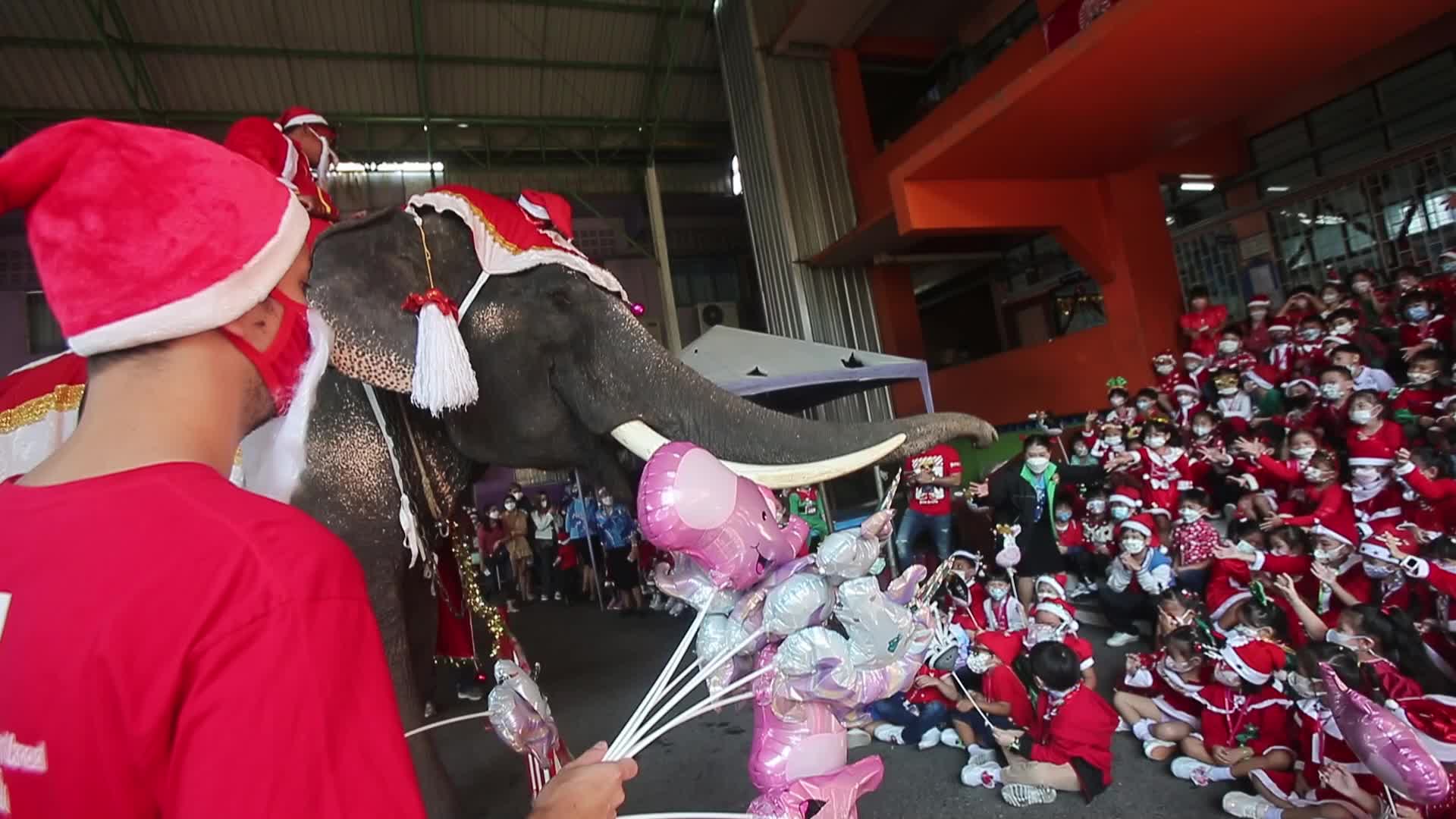 Christmas Season In Bangkok, Thailand