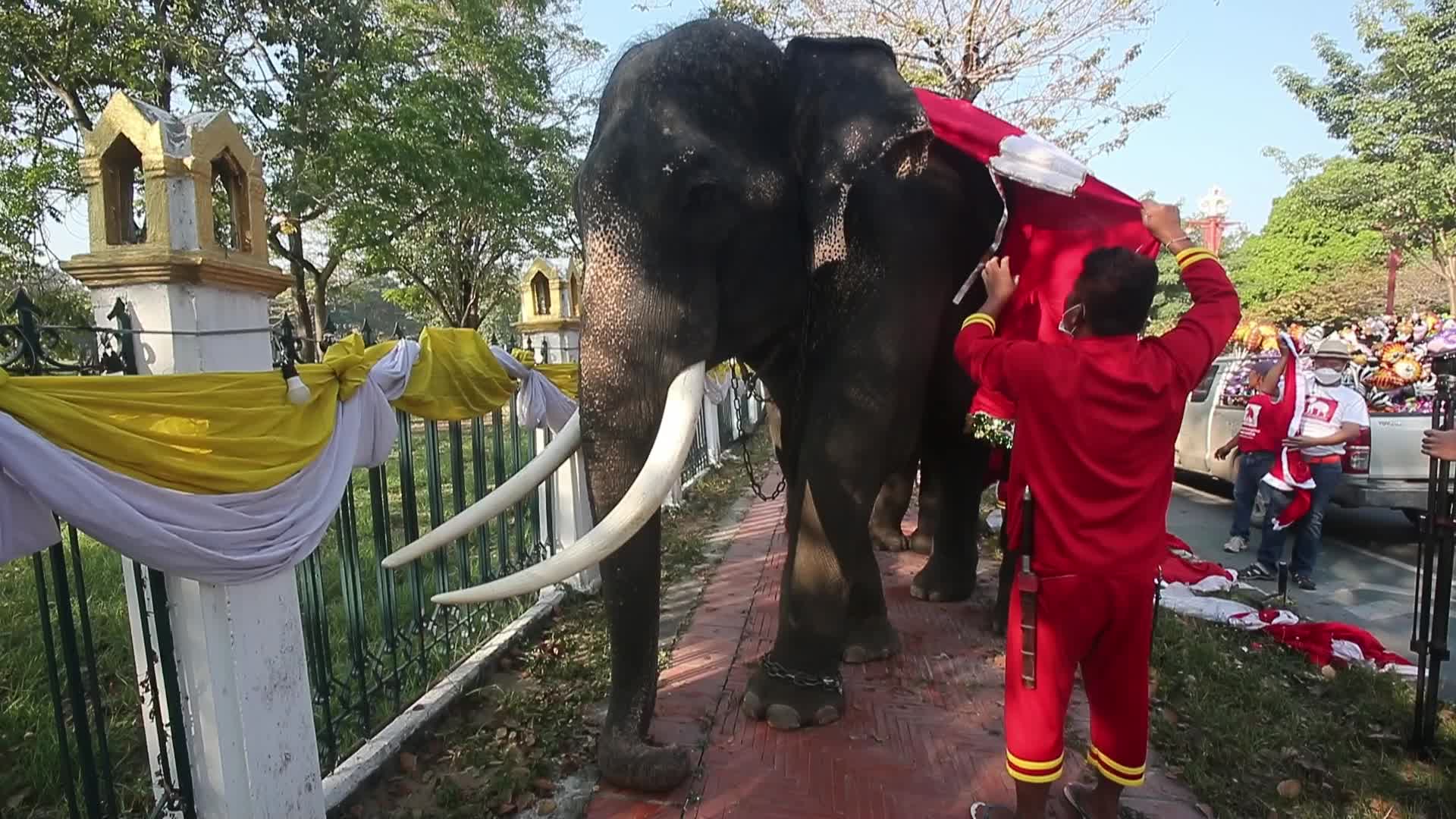 Christmas Season In Bangkok, Thailand