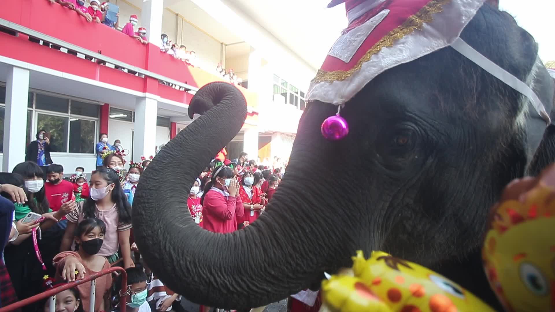 Christmas Season In Bangkok, Thailand