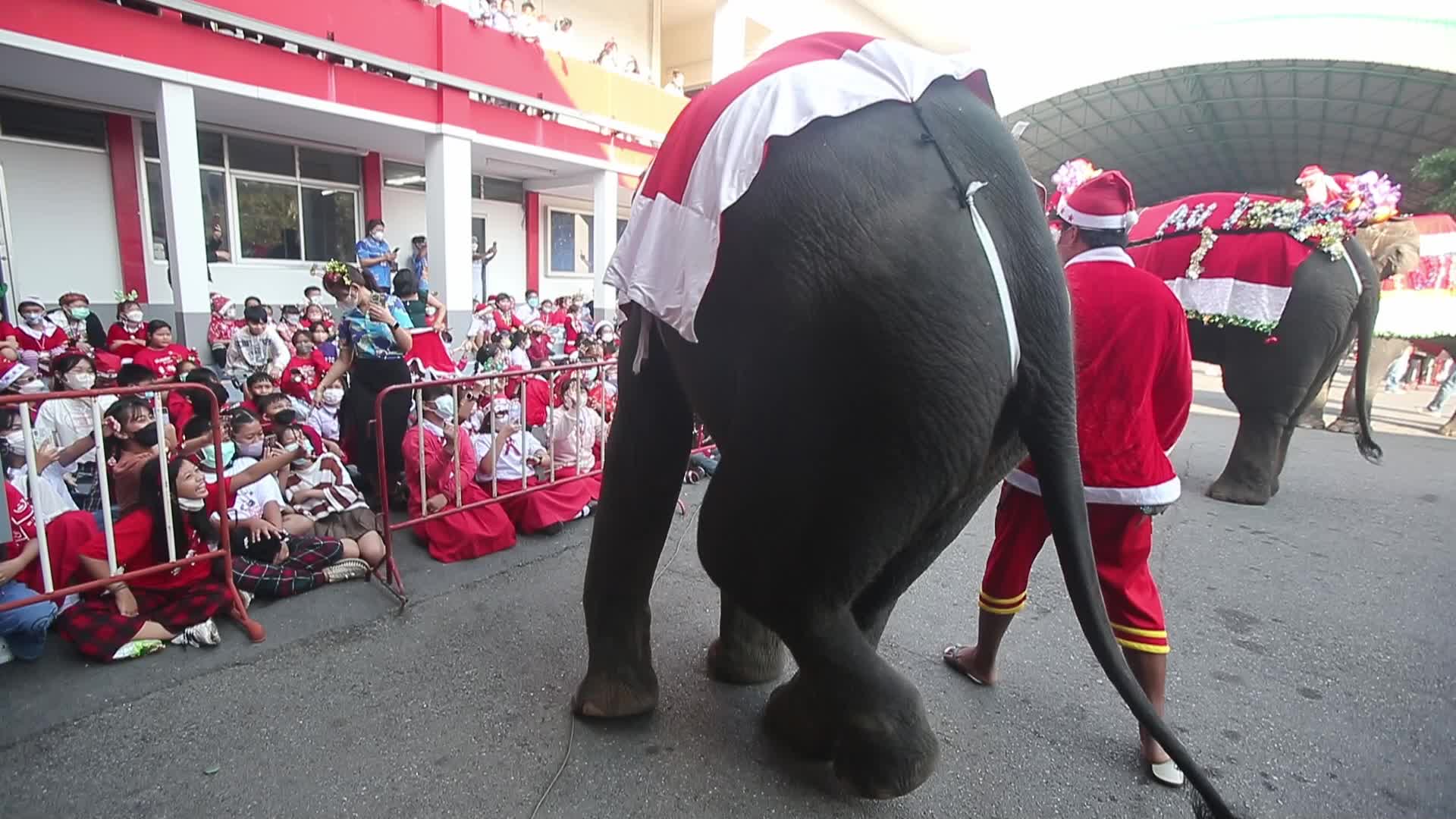 Christmas Season In Bangkok, Thailand