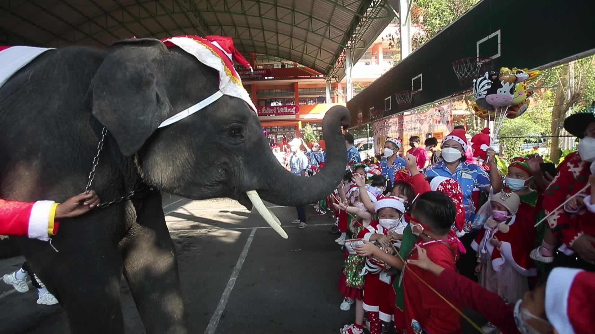 Christmas Season In Bangkok, Thailand