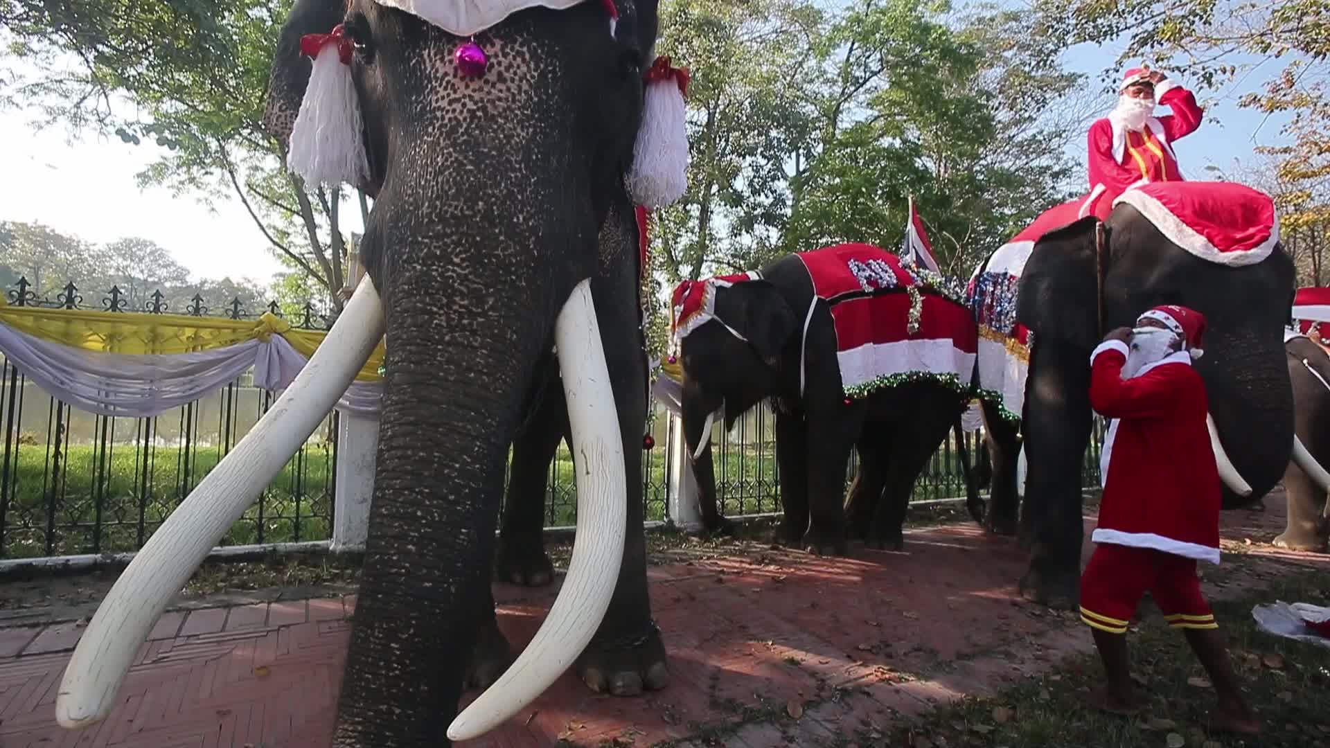 Christmas Season In Bangkok, Thailand