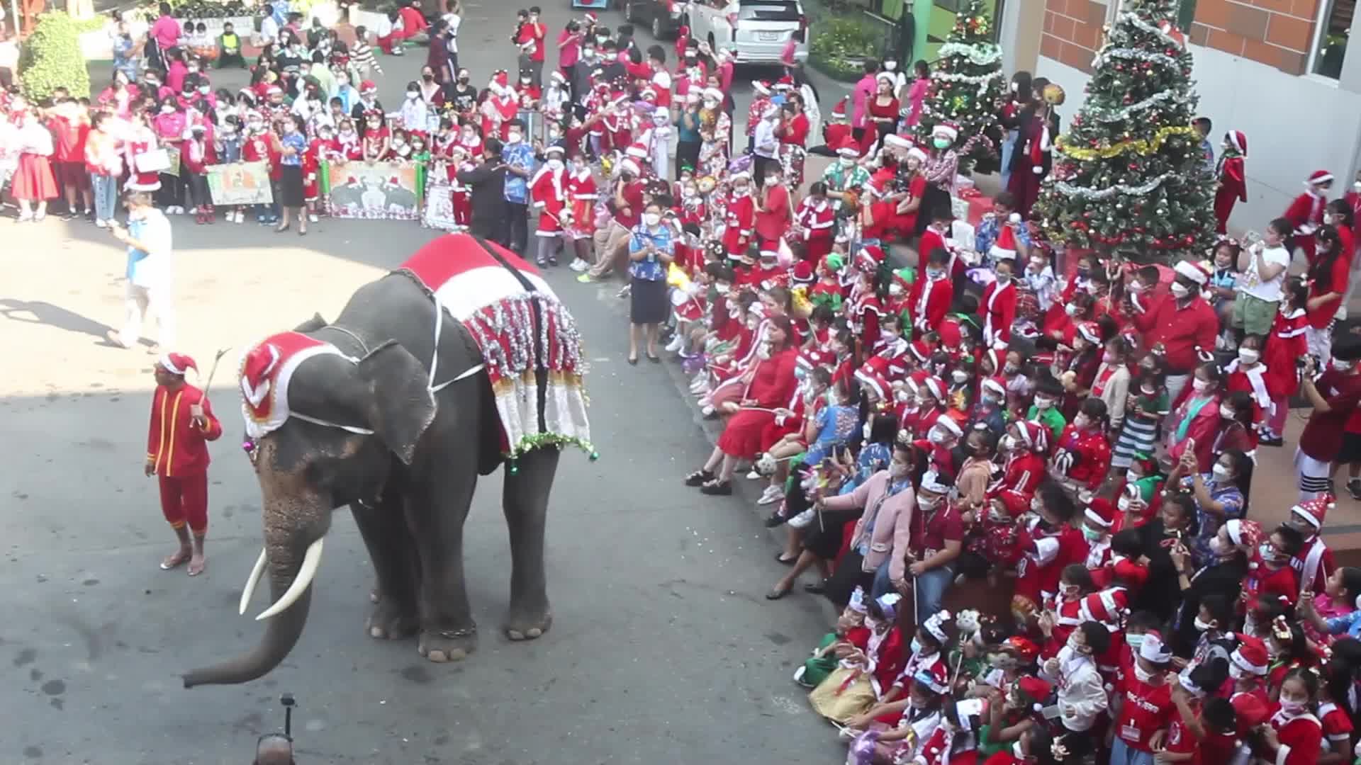 Christmas Season In Bangkok, Thailand