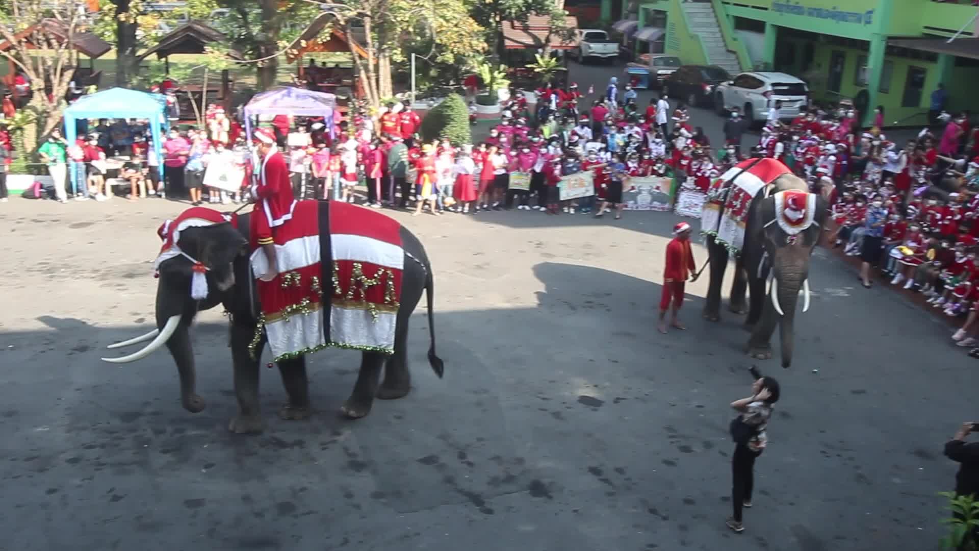 Christmas Season In Bangkok, Thailand