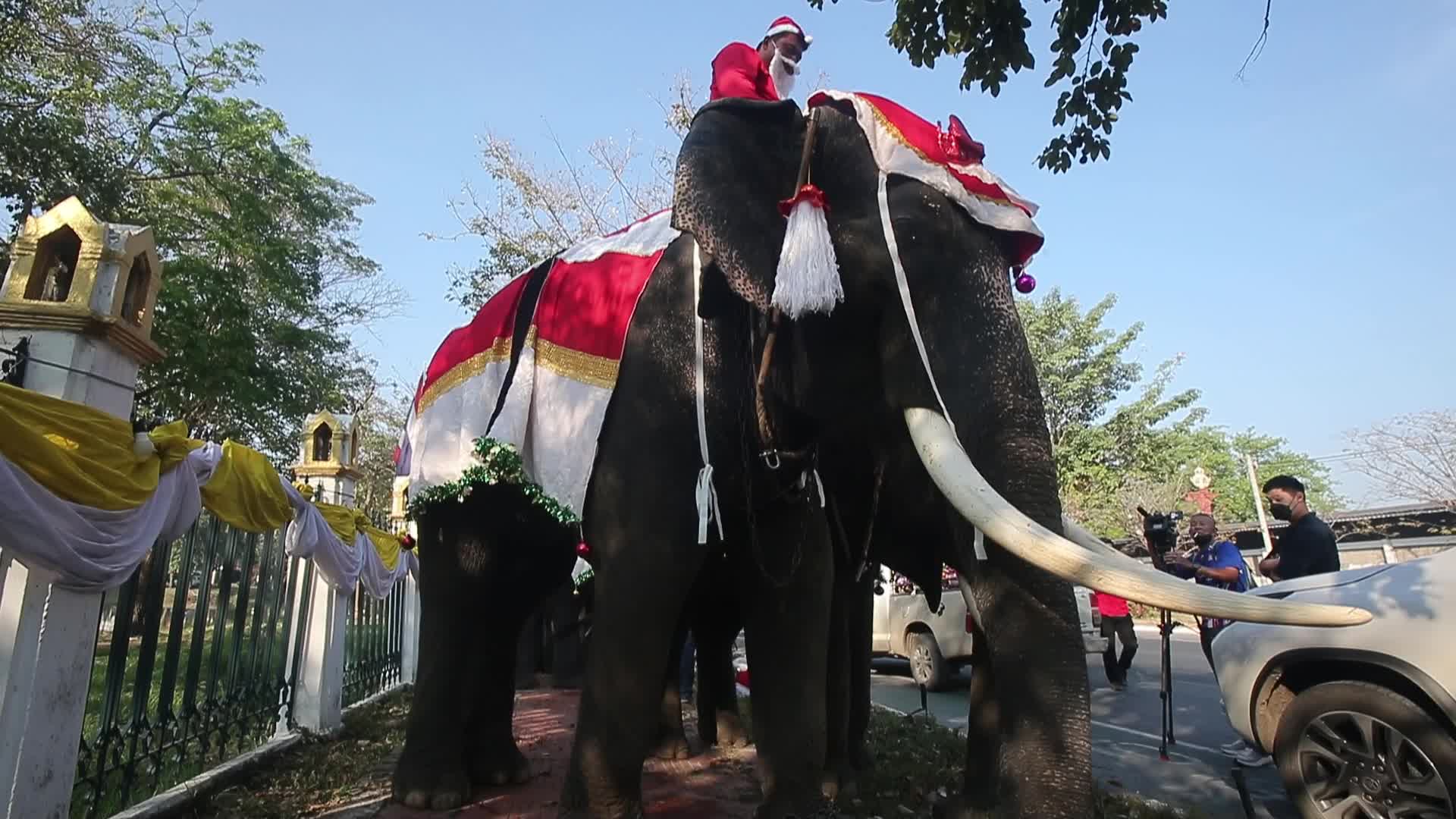 Christmas Season In Bangkok, Thailand