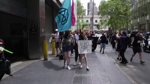 'Extinction Rebellion' Activists Protest In New York