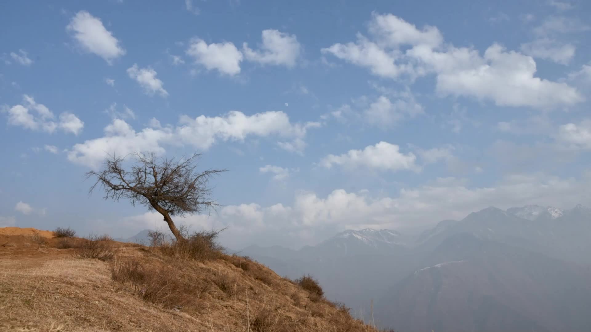 Cold winter day in Srinagar, Kashmir, India