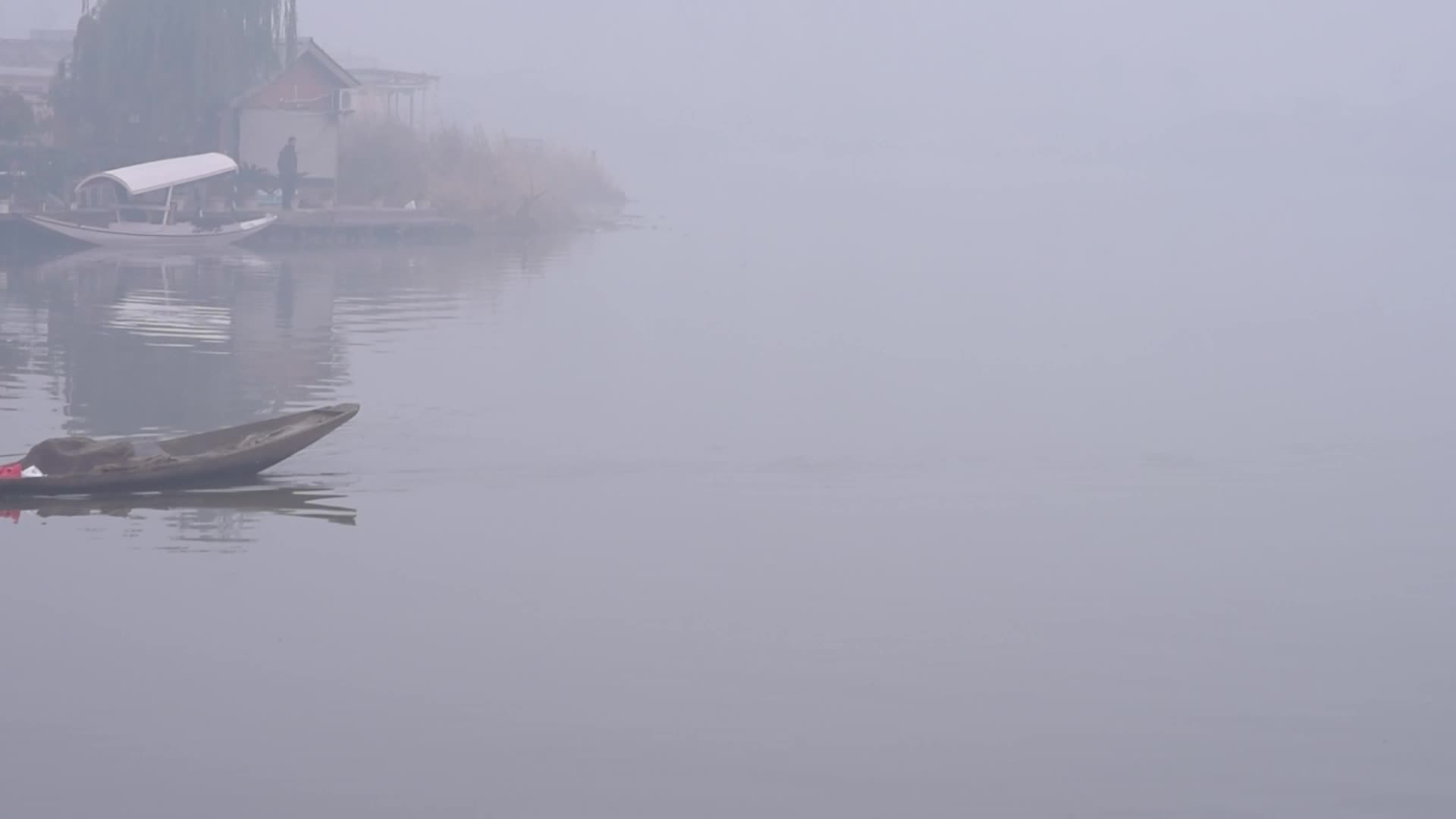 Foggy winter morning in Srinagar, Kashmir, India