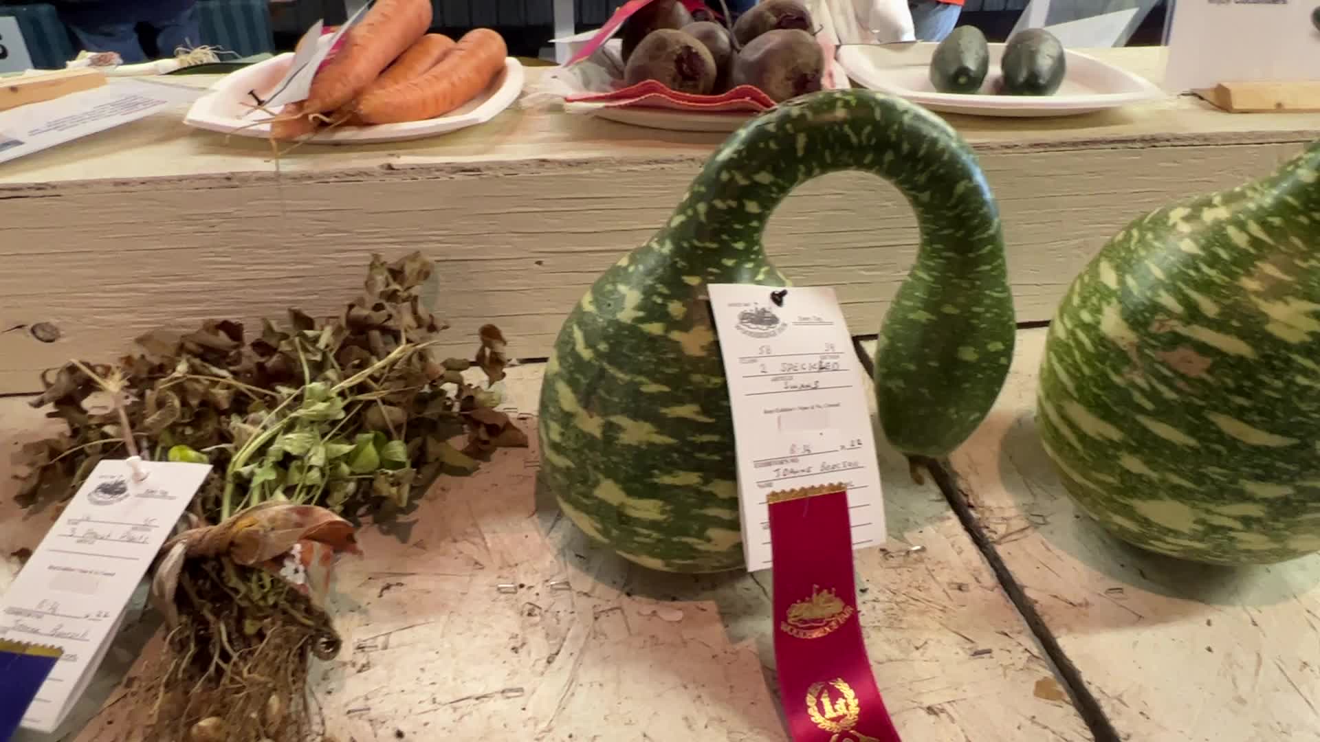 175th annual Woodbridge Fall Fair