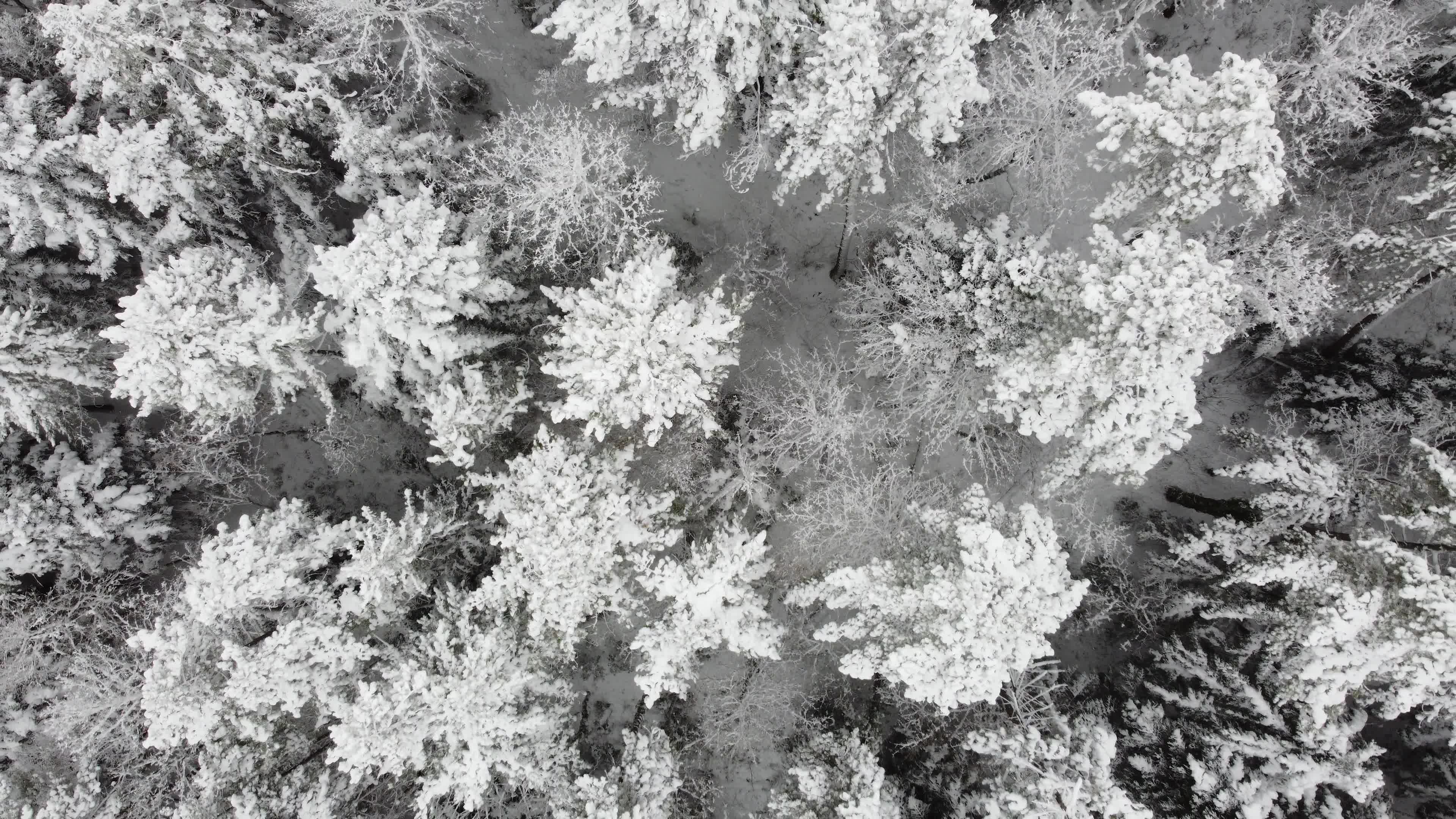 Bad Weather And Snowfall In Italy
