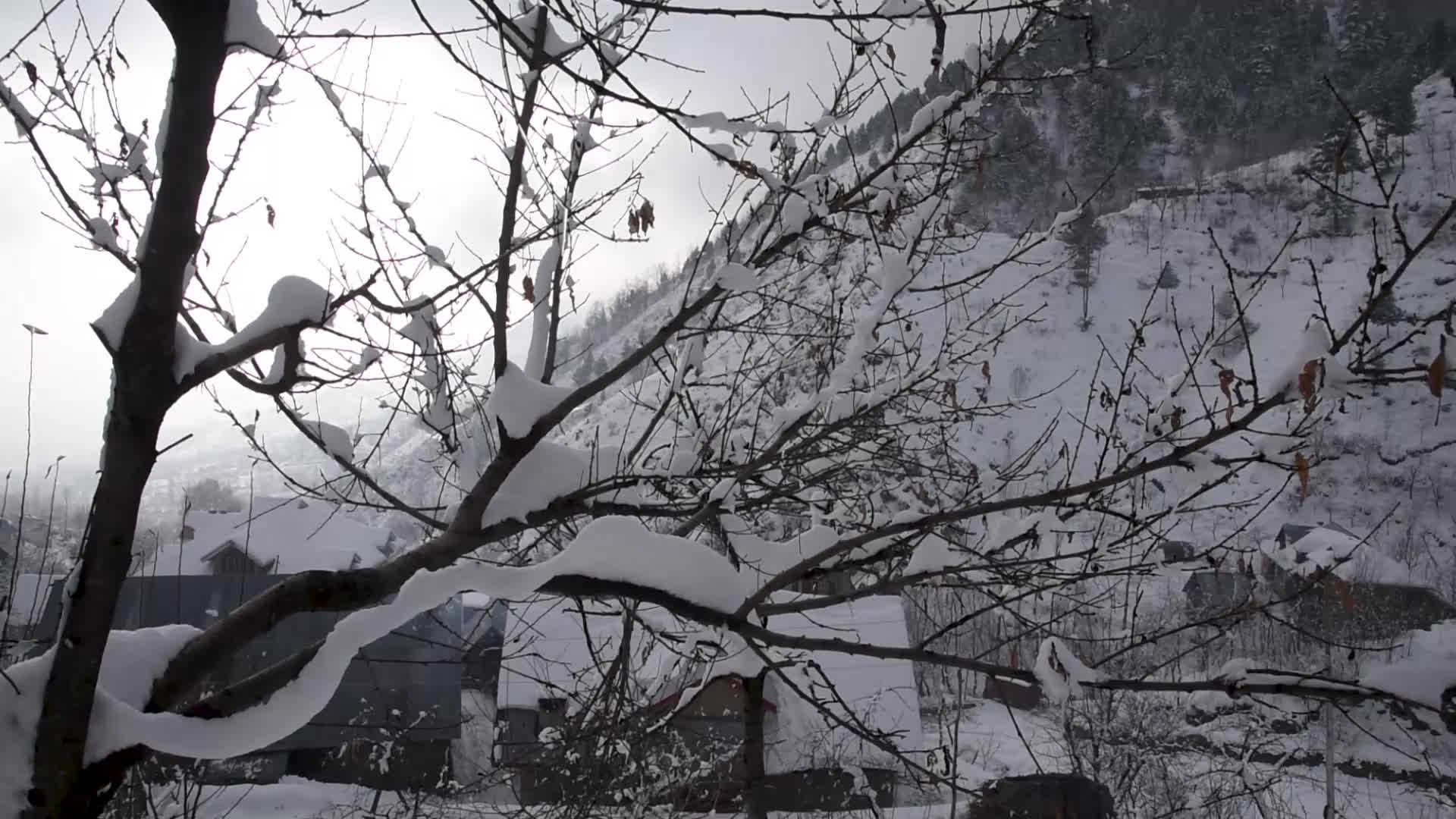 Heavy Snowfall in the outskirts of Srinagar Kashmir