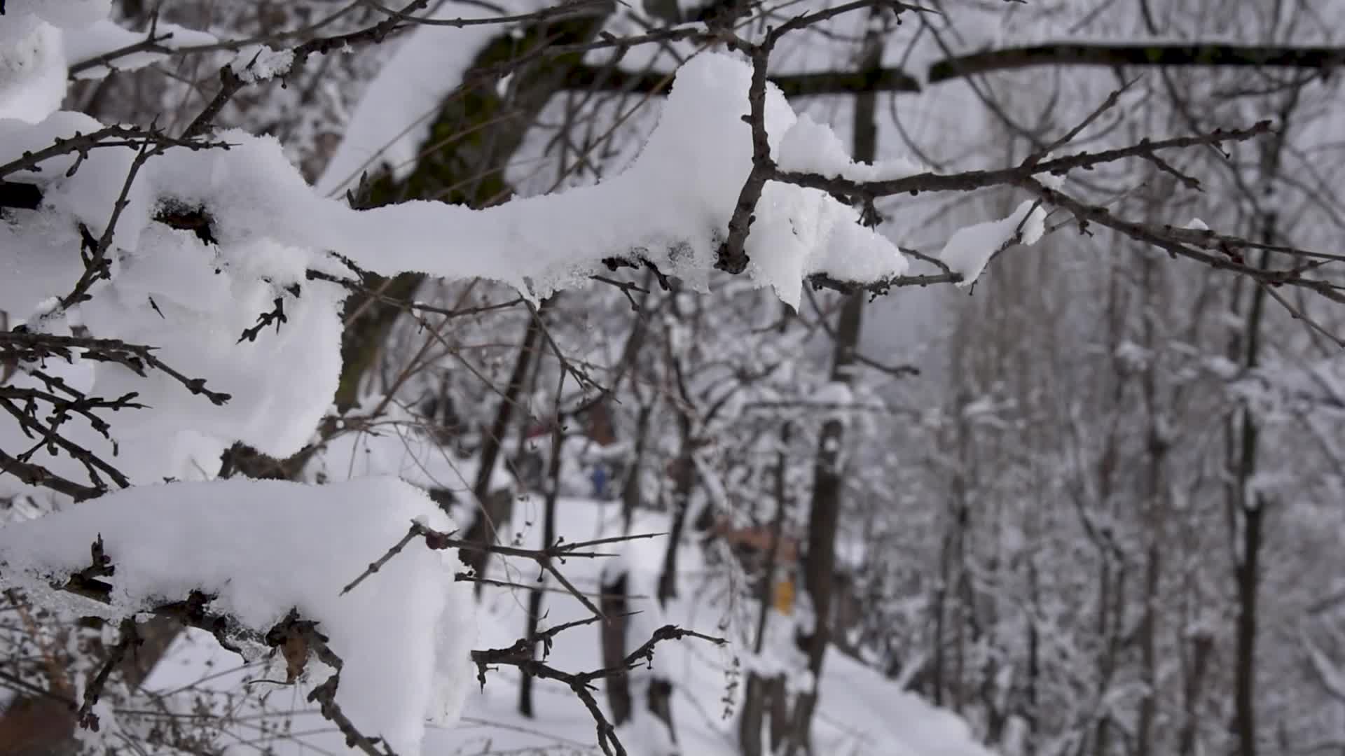 Heavy Snowfall in the outskirts of Srinagar Kashmir