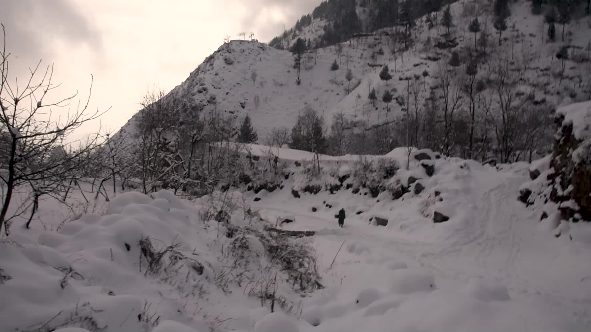 Heavy Snowfall in the outskirts of Srinagar Kashmir