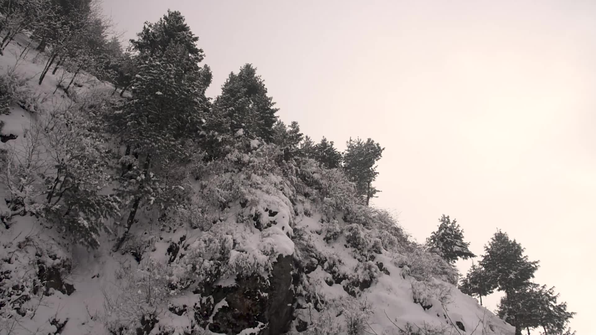 Heavy Snowfall in the outskirts of Srinagar Kashmir