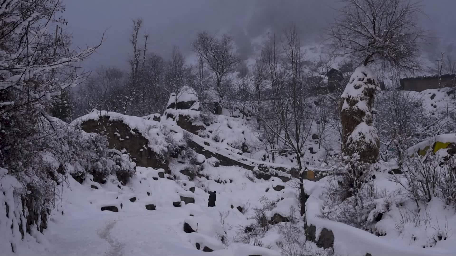 Heavy Snowfall in the outskirts of Srinagar Kashmir