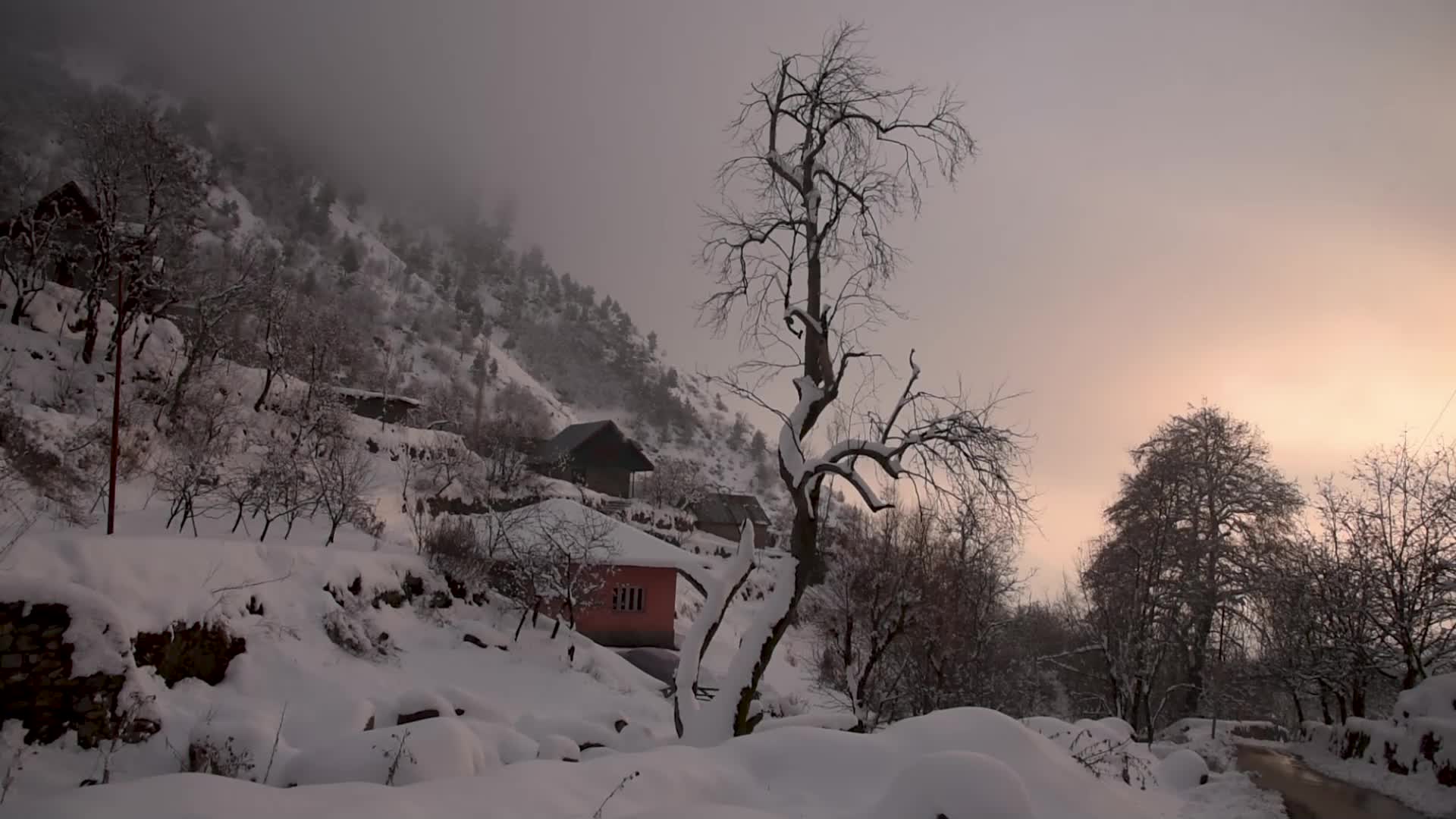 Heavy Snowfall in the outskirts of Srinagar Kashmir