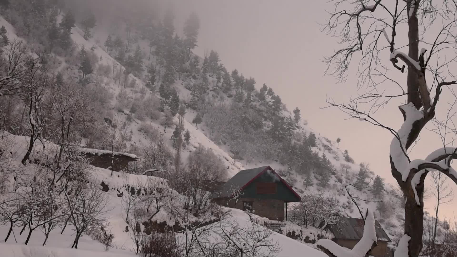 Heavy Snowfall in the outskirts of Srinagar Kashmir